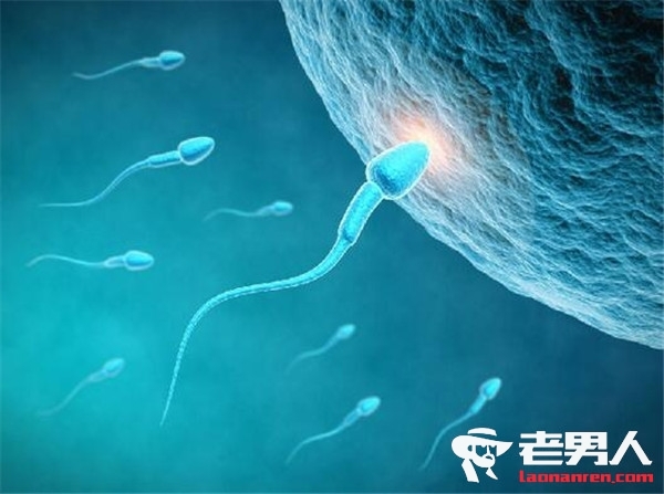 >男性终极避孕手术 精子可自动溶解被身体吸收