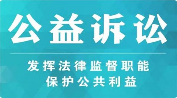 >吉林省和龙市王禹 吉林省和龙市检察院对该市林业局不依法履职行为提起行政公益诉讼