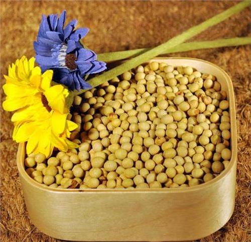 >一种纯天然低温烘焙熟的黄豆豆粉及其制作方法