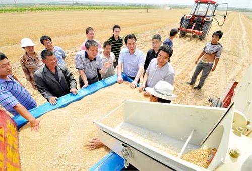 李尧林小老婆 万荣县县委书记李尧林调研小麦生产情况