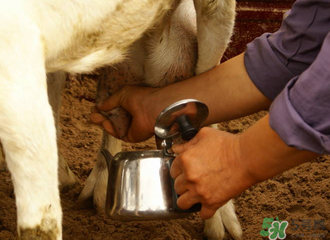 鲜羊奶怎么保存？鲜羊奶放冰箱能放多久？