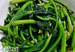 长寿菜是什么菜?长寿菜长什么样子?