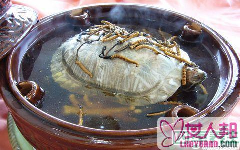 甲鱼汤的做法有哪些 甲鱼怎么吃最有营养