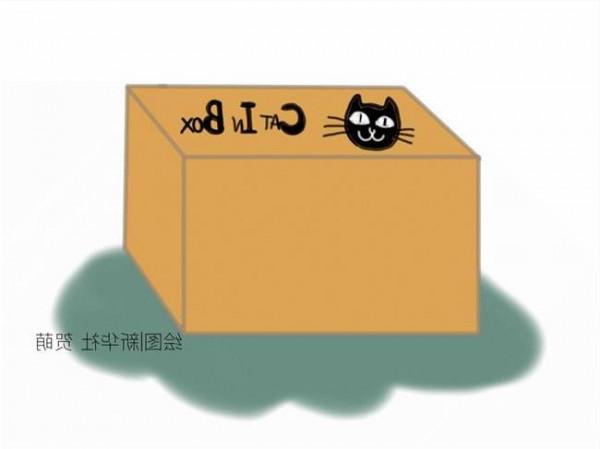 >薛定谔的包裹 薛定谔的猫思维实验中放置猫的箱子弄成透明的会怎样?
