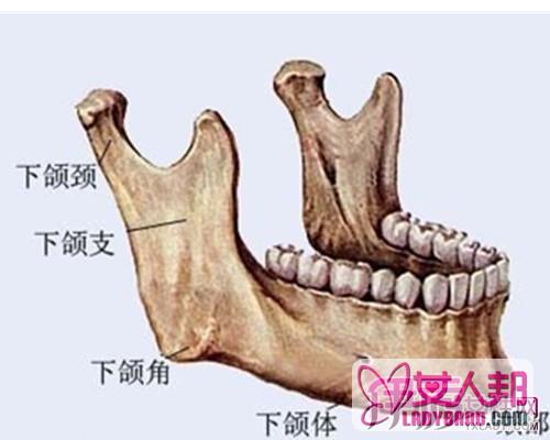 下颌角手术的方式 其不同手术方式的优缺点介绍