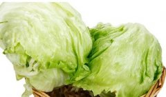 圆生菜的营养价值和吃法