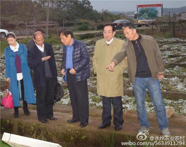 >刘志仁参事:必须出台政策扶持新兴肥料产业发展