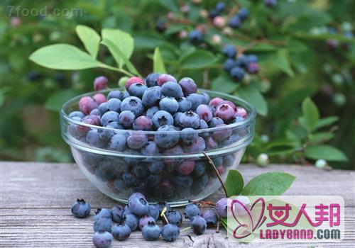 >人体最爱的11种抗衰老食物 健脑多吃蓝莓