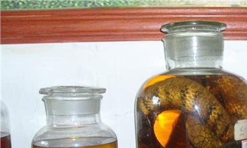 五步蛇酒的功效与作用 白花蛇酒的功效与作用