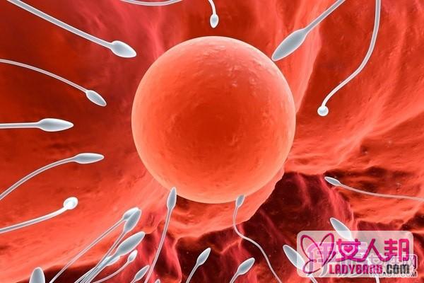 提高精子活力的药物有哪些 四大食物让精子充满活力