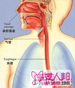 食道癌的早期症状及表现 懂得预防是关键