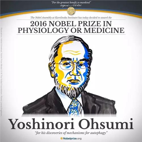 >2016年诺贝尔生理学或医学奖得主:搞生命科学的宫崎骏爷爷