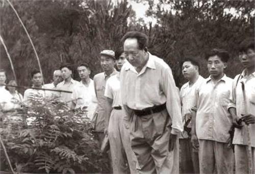 >毛泽东第一次回韶山在父母墓前祭拜