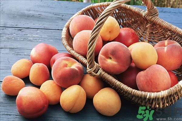 >桃子和杏子可以一起吃吗？杏子和桃子有什么区别？