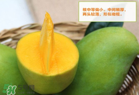 青芒果硬的能吃吗？青芒果没熟能吃吗？