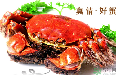螃蟹什么时候吃最好？吃螃蟹的最佳时间