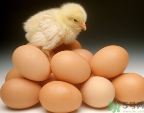 鸡蛋多少钱一斤？鸡蛋多少钱一斤2016？