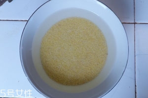 黄小米怎么煮 煮黄小米的技巧