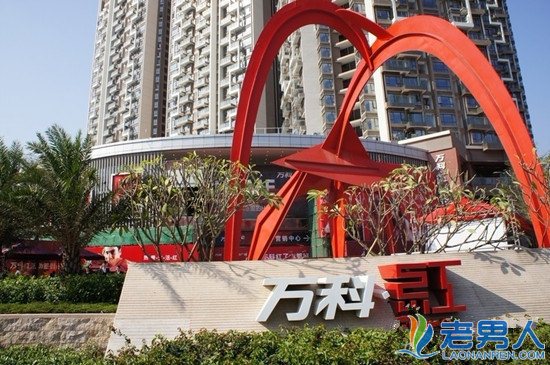 买房前须知 2016年中国10大房地产开发商排名