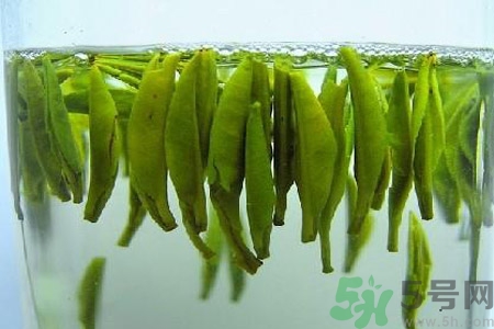 茶叶的泡法有哪些？泡茶叶的最佳水温是多少？