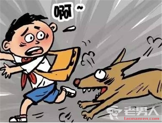 >安庆师范大学流浪狗咬伤11名学生 恶狗已被击毙
