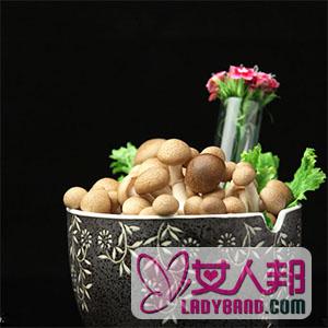 【蟹味菇怎么做好吃】蟹味菇的做法大全_蟹味菇的营养价值