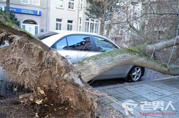 德国遭遇最强飓风袭击 致使铁路停运学校停课