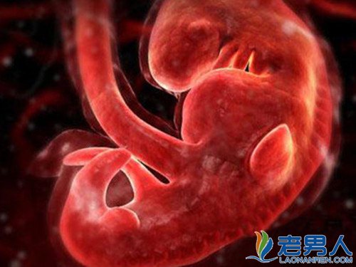 >孕妇各阶段该如何养胎及孕期胎儿图照解析