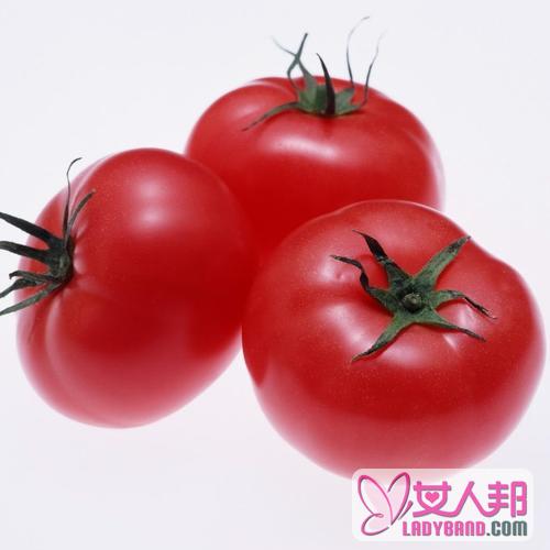 >西红柿的功效与作用及食用方法_西红柿的营养价值