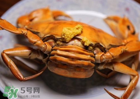 >黄油蟹的选蟹标准是什么？黄油蟹的等级分类