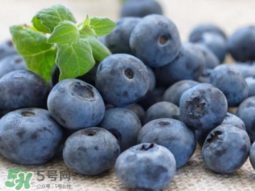 >新鲜蓝莓可以直接吃吗？新鲜蓝莓怎么吃才好吃？