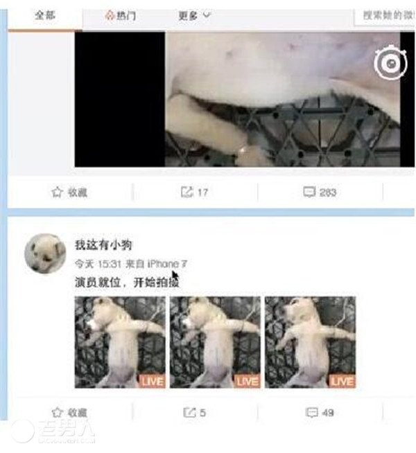 >男子直播解剖活狗 现场图片击碎了千万网友的心