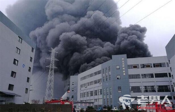 杭州华茂厂房着火 烧了十个多小时损失惨重