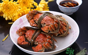 海蟹什么时候最肥？海蟹什么时候吃最好？