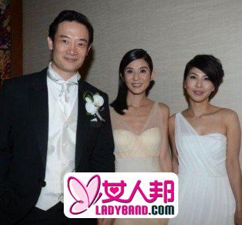 39岁杨采妮新加坡大婚图片