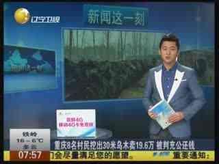 重庆8村民挖出30米乌木卖19 6万被判充公