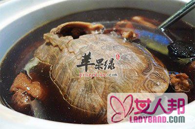 加味龟肉汤：补脾益肾