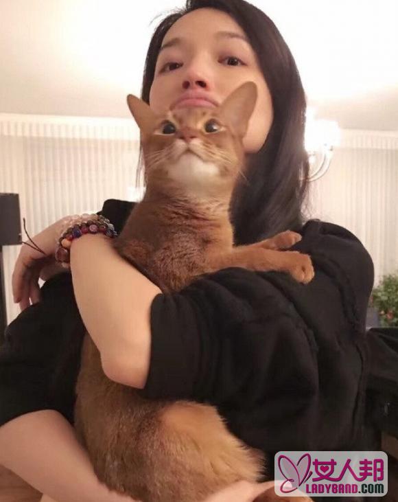 >女神都是猫咪控，范冰冰张馨予撞脸又撞猫，陈乔恩不惧抱无毛猫！