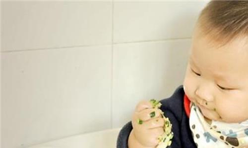 宝宝磨牙饼干做法 宝宝开始长牙了 哪些品牌的磨牙饼干适合宝宝?