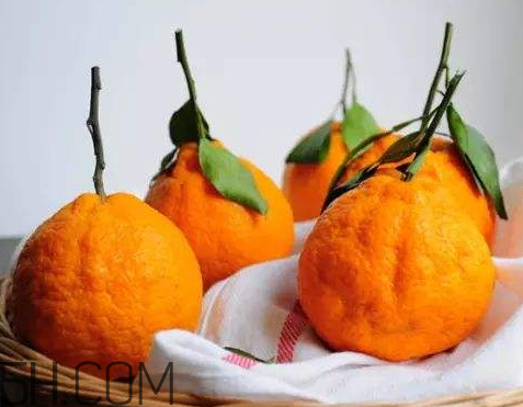 丑橘皮的功效与作用 丑橘的皮有什么作用