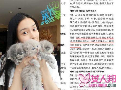 >Angelababy养折耳猫反对结扎 被炮轰：无知多读书