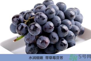 >夏黑葡萄营养价值 夏黑葡萄的功效与作用