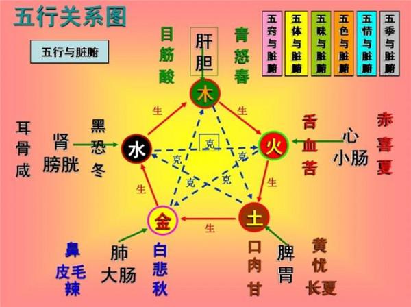 >邵伟华八字 邵伟华四柱八字阴阳五行相生相克表