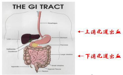 >赵林协和 精品课程|协和赵林教授为您解析胃癌靶向治疗进展!