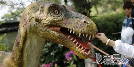 >重返侏罗纪 恐龙遭游客拔牙剔骨（图）