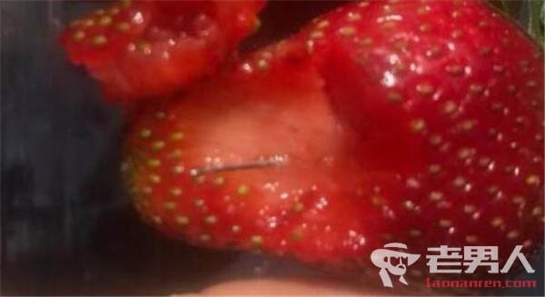 澳洲现草莓藏针事件 十天内已发生至少13起