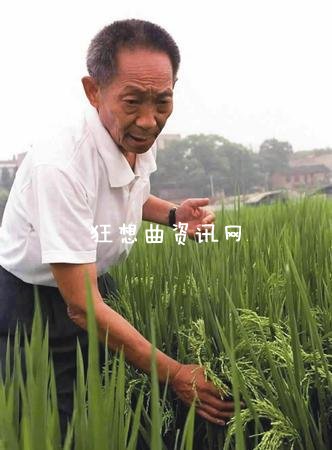 邹承鲁袁隆平 袁隆平为什么不是中国科学院院士 袁隆平 方舟子转基因水稻