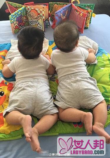 林志颖双胞胎儿子趴着看书 小脚丫翘起肉嘟嘟