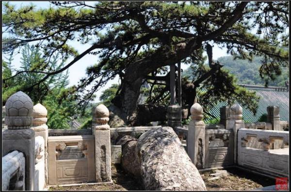 >京剧大师谭鑫培与戒台寺住持妙性老人