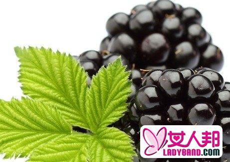 黑莓7功效 增免疫防衰老!